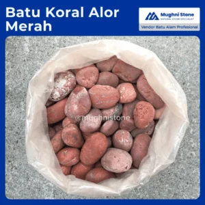 batu koral alor merah