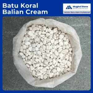 batu koral balian cream
