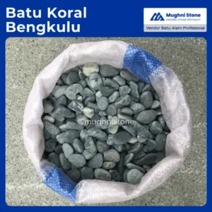 batu koral bengkulu
