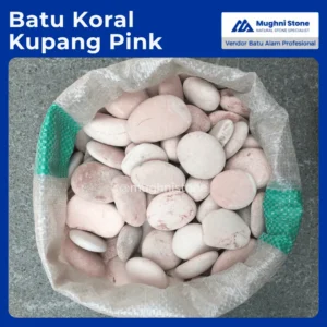 batu koral kupang pink