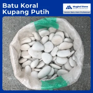 batu koral kupang putih