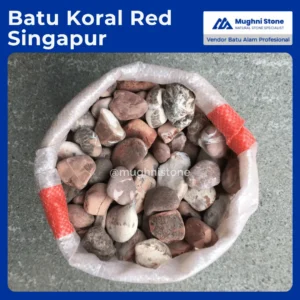 batu koral red singapur