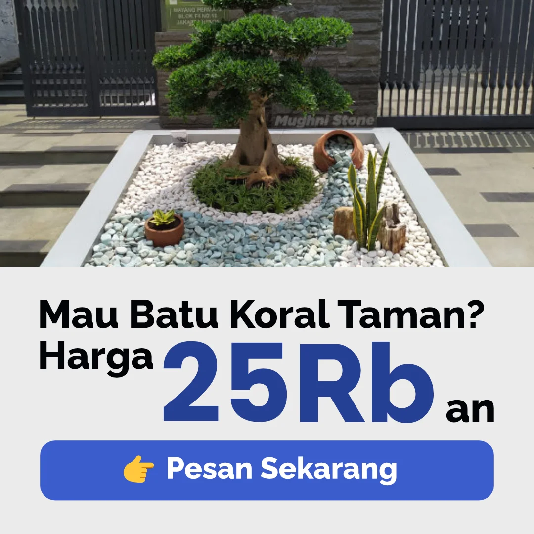 batu koral taman murah cuma 25 ribuan