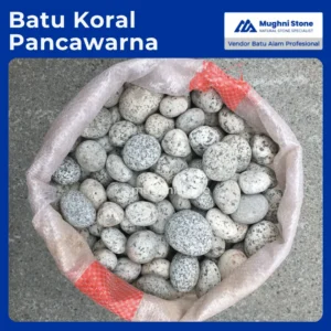 batu koral telur puyuh