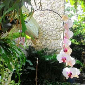 jual batu alam bobos