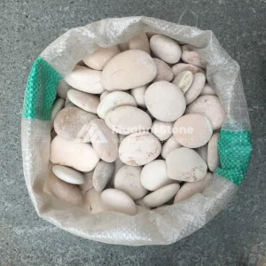 jual batu koral kupang pink