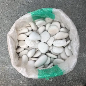 jual batu koral kupang putih