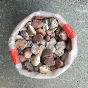 jual batu koral red singapur