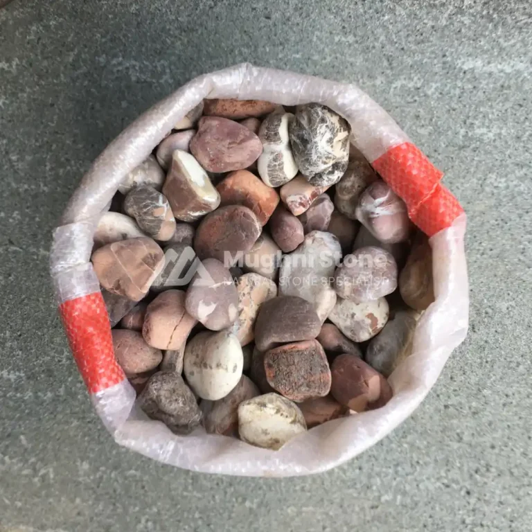 jual batu koral red singapur
