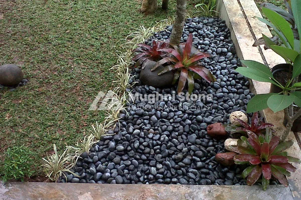 contoh pemasangan batu koral hitam 1