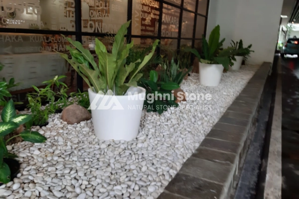 contoh pemasangan batu koral kupang putih 1