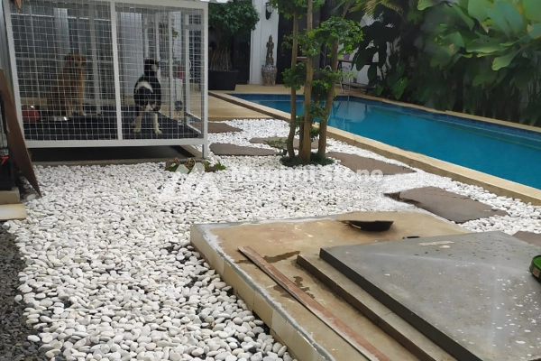 contoh pemasangan batu koral kupang putih 3