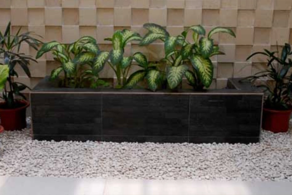 contoh pemasangan batu koral kupang putih 7