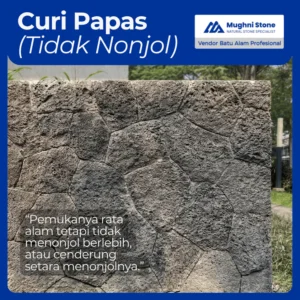 batu alam curi papas