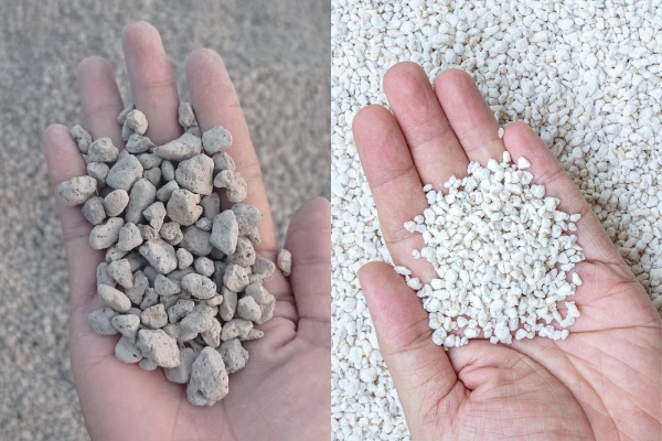 batu apung vs perlite