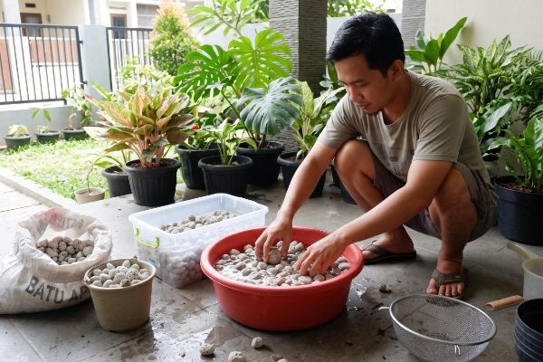 uji kualitas batu apung untuk media tanam
