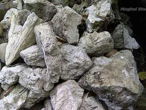 batu karang resapan