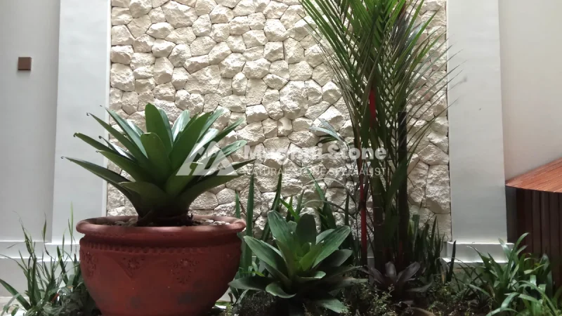 taman batu alam - batu limestone