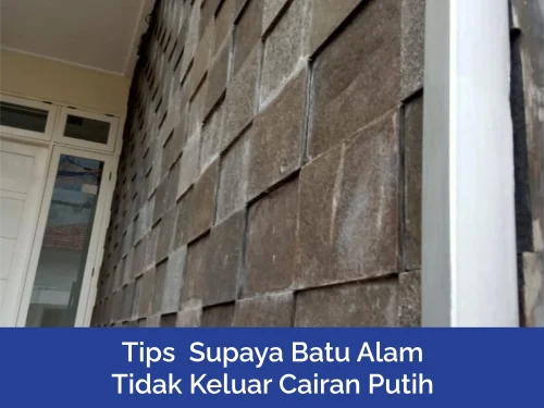 Nat Batu Alam Keluar Cairan Putih