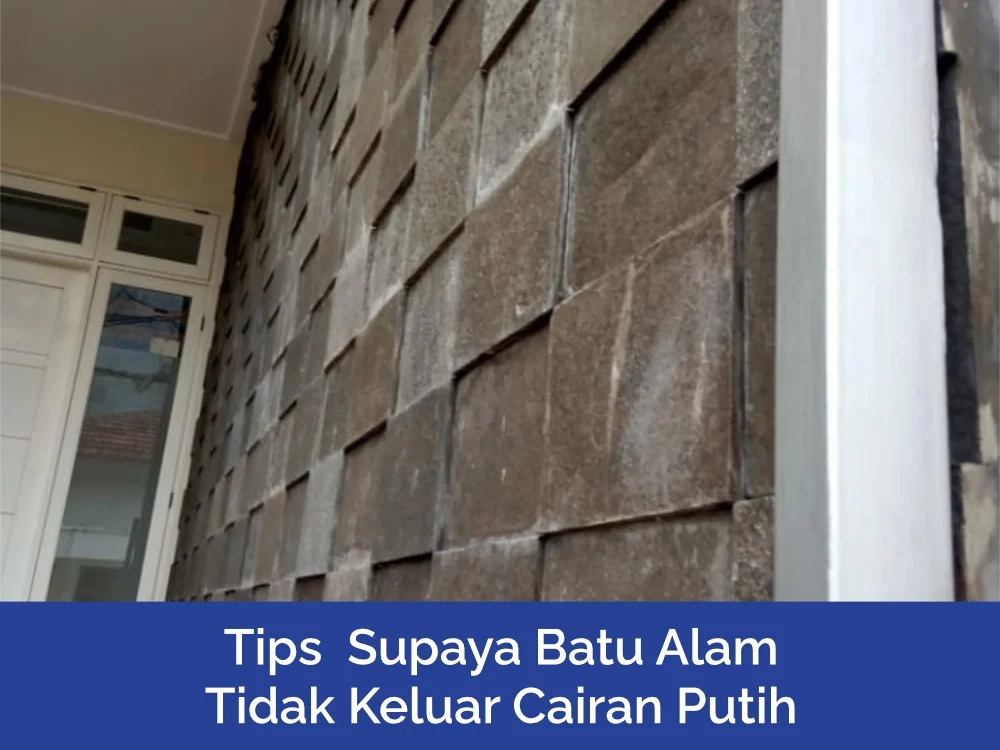 Nat Batu Alam Keluar Cairan Putih