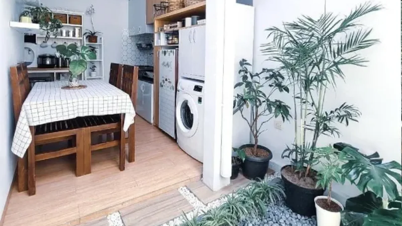 taman belakang rumah