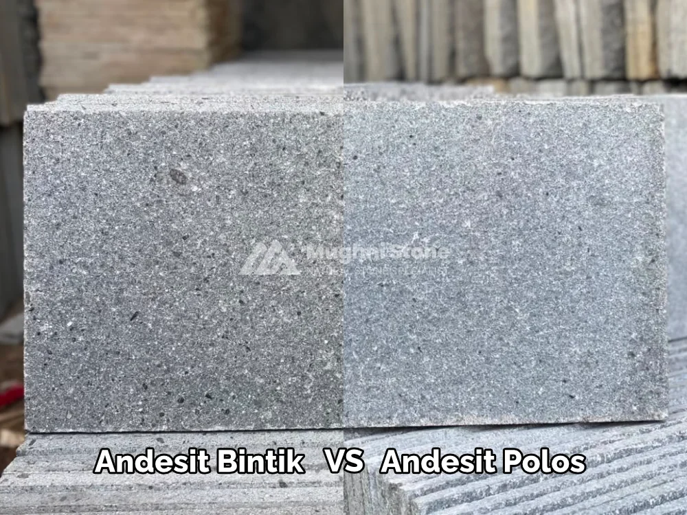 perbedaan batu andesit bintik vs polos