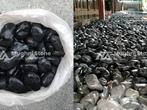 batu koral alor hitam