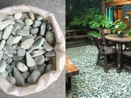 batu koral flores hijau