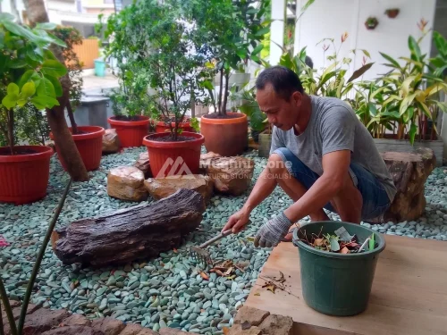perawatan batu koral